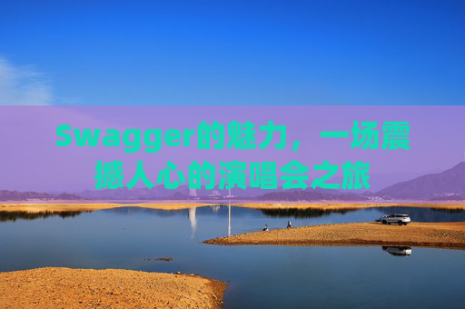 Swagger的魅力，一场震撼人心的演唱会之旅